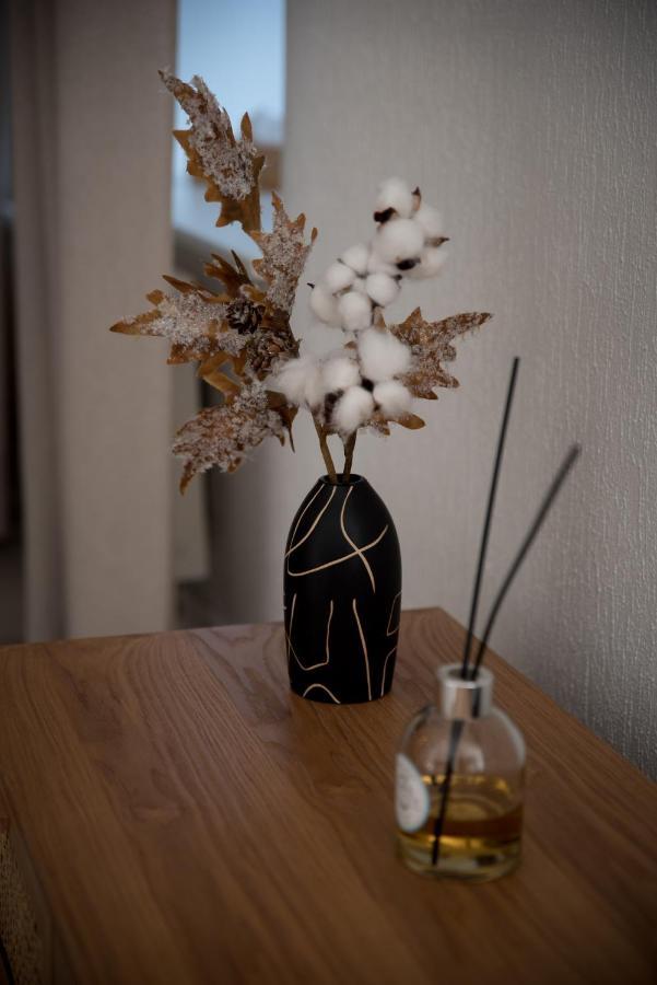 Calme Et Cosy Apartment Obernai Luaran gambar